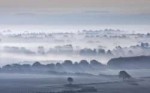 valley-fog-trees-sky.jpg