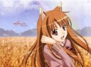 439208anime-spice-and-wolf.jpg