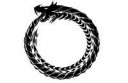 ouroboros.svg0.png