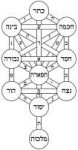 TreeoflifebahirHebrew.svg.png