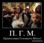 9175017.jpg
