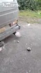 15133228350870.mp4