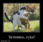 zatknis-suka3239demotivatorz.ru.jpg