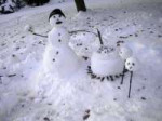 creative-funny-snowman-ideas-16.jpg