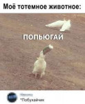 15596633838390.png