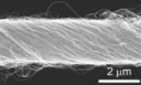 nanotube-yarn[1].gif