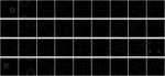 xtfsdtyrmcpmq3tnels51ns6tgs.gif