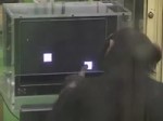 smartchimp.webm