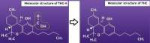 decarboxylation5.jpg