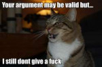 yourargumentmaybevalidbutistilldontgiveafucktrollcat.jpg