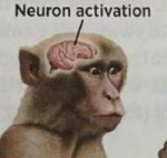 233a6de81ac6e1d4a1faab63e5006e34.jpg