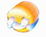 xd-meme.gif