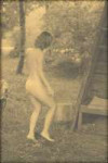 IMGX51412.jpg