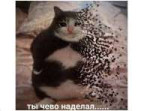 IMG20250614232021617.jpg