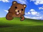 pedobearbyheyitsdave.jpg