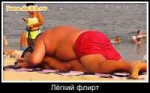12880boro.da33.ru[1].jpg