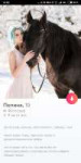 Screenshot2019-03-07-14-02-05-593com.tinder.png