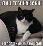 15648334041670.jpg