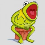 kisspng-kermit-the-frog-true-frog-sticker-toad--5b75019921e[...].jpg