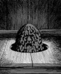 tumblrl5wx9a5Pxf1qag5o1o1500.gif