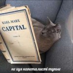 не хуя капиталисти тупые.jpg