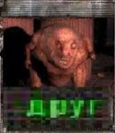 ДРУГ.jpg