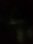 IMG20170717132157.jpg