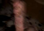 MeatLeg.gif