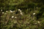 DSCF1216.jpg