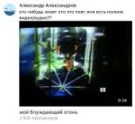 IMG8936.jpeg