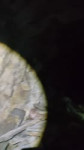 lv020250603015646.mp4