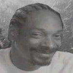 4543.webp