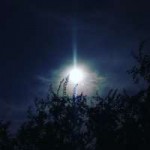 IMG20160925141103.jpeg