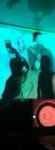 IMG20170819210006(1)(1).jpg
