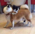 image.jpeg