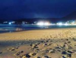 IMG20170807134509.jpg