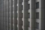 nFmCXE8iXY.jpg