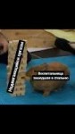 IMG20171101184822869.jpg