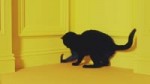 15159244687780[1].webm