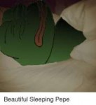 beautiful-sleeping-pepe-2730684.png