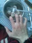 CAM00517.jpg