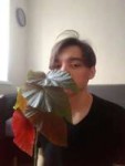 image.jpeg