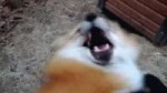 3642430.gif