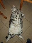 IMG20180201092301.jpeg