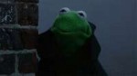 1521618041948.gif