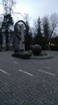 1523726170191.jpeg