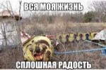 15079310932960.jpg