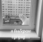 1JsX3JnIkS8.jpg