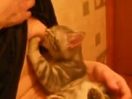  .webm