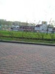 1525107982483.jpeg